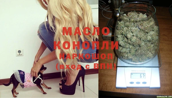 стаф Липки