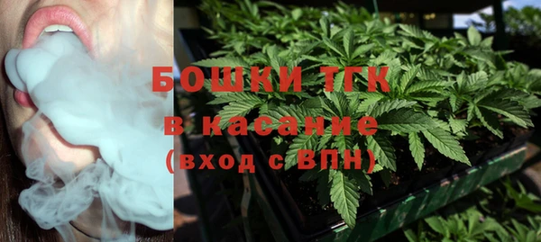 стаф Липки