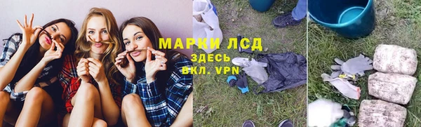 стаф Липки