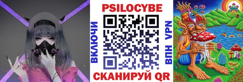 где можно купить   Астрахань  Псилоцибиновые грибы ЛСД 